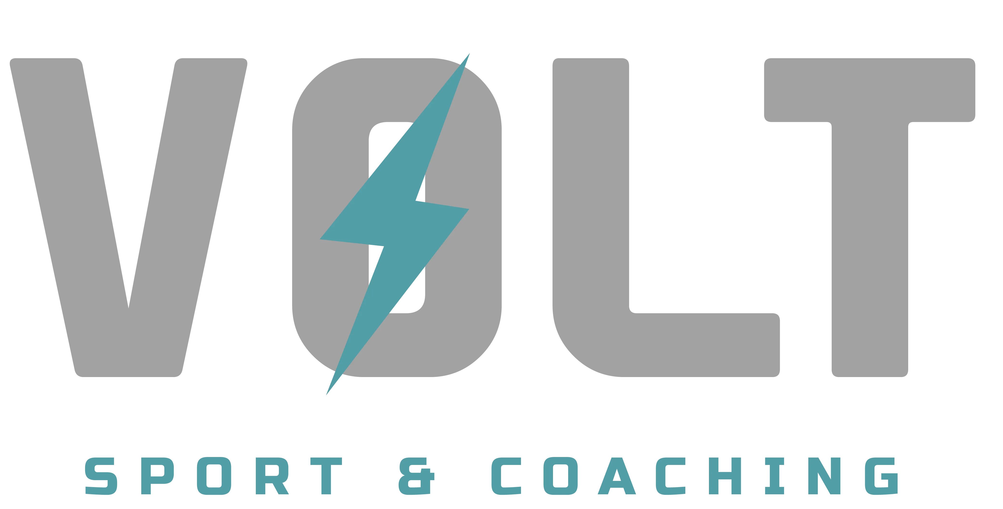 Logo Volt